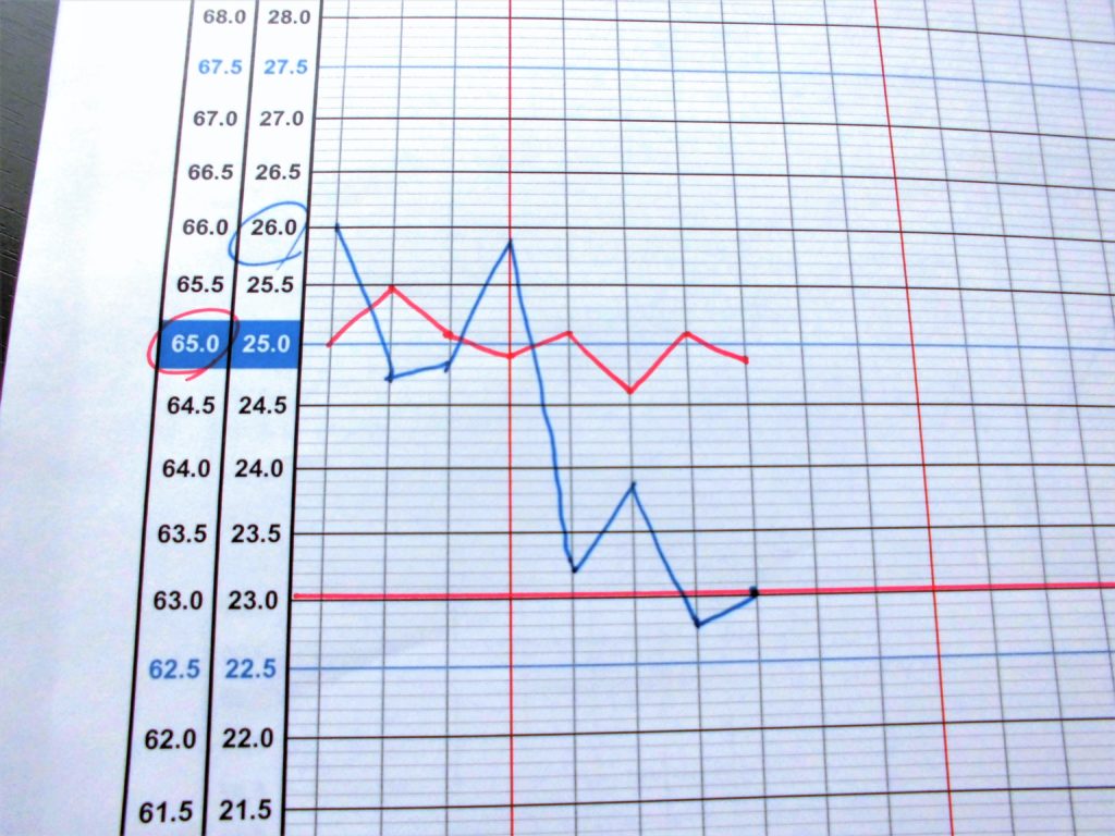 手書きの体重グラフが効果大だったので ふたたび実践します ミリキ的な毎日を